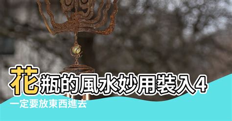 花瓶裡放硬幣|【花瓶風水】花瓶的風水妙用裝入4物品提升家運聚財氣 